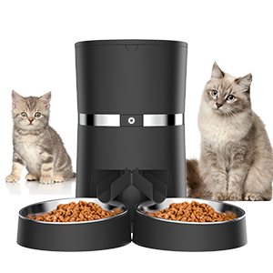 Feed your pet friends at the same time