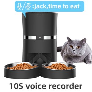 Upgraded Voice Recorder